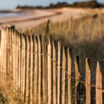 Comment faire et entretenir une clôture naturelle ?