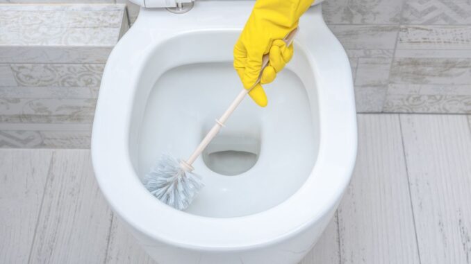 nettoyage bien utiliser et acheter une brosse à toilettes